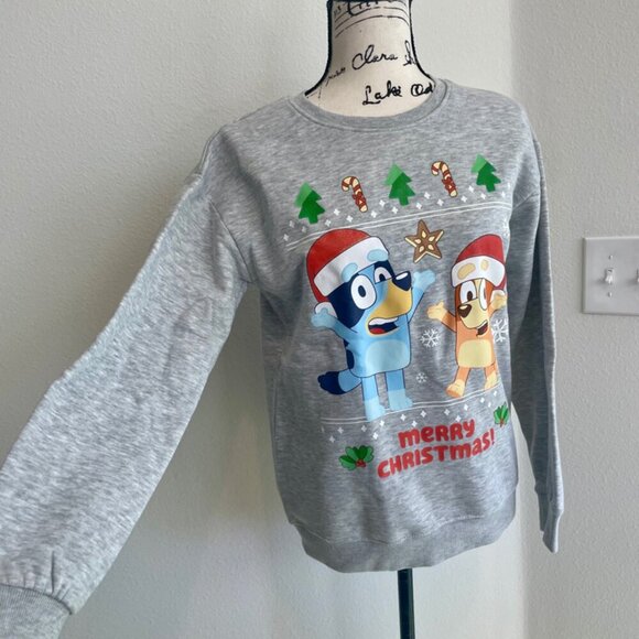 BLUEY & CHILLY HELLER UGLY CHRISTMAS SWEATSHIRT SZ S KIDS L GRAY CARTOON KAWAII - Picture 9 of 16